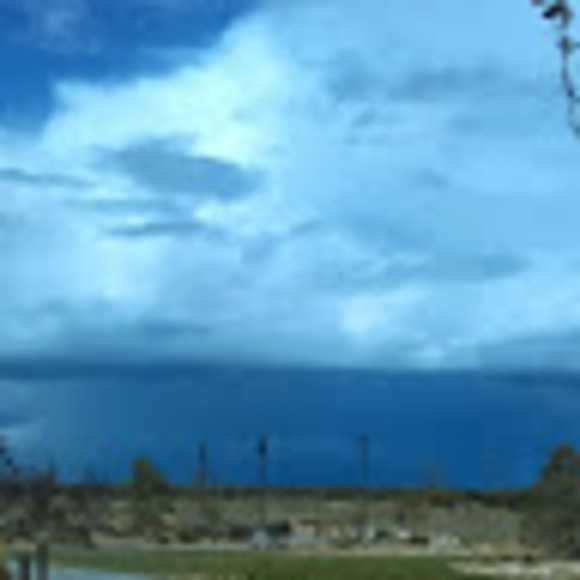 Meet your Posher, Liz - Picture 1 of 1